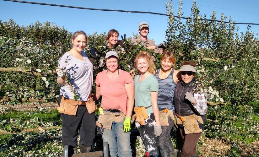 Q and A with Southern Belle Organic Orchard