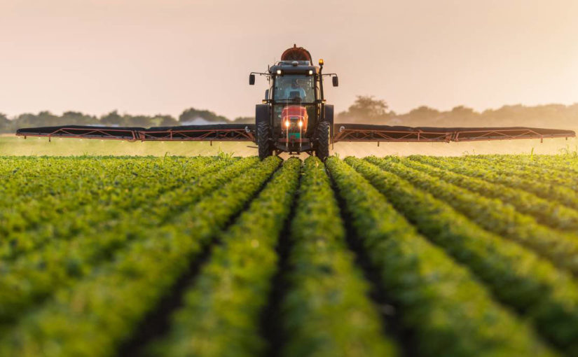 7 scientific studies that prove organic foods keep you healthy