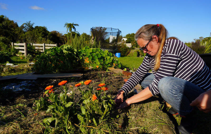 Growing your own food is easier than you think. Here’s step 1.