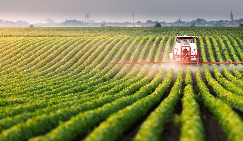 Safe and effective? EPA allows banned sprays, FSANZ fast-tracks GMOs