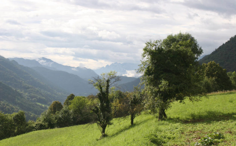 How to Choose a Self-Sufficient Lifestyle Property in New Zealand (And Avoid a Costly Mistake)